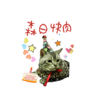 He' s a CAT（個別スタンプ：8）
