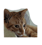 あまえびとはまちの猫っぽい日々（個別スタンプ：14）