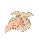 Baby Money Dog（個別スタンプ：2）