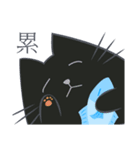 黒猫・ドンドン（個別スタンプ：13）