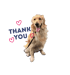 愛犬レオンくん（個別スタンプ：5）