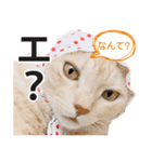 ひまわり君スタンプ（個別スタンプ：7）