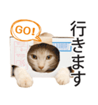 ひまわり君スタンプ（個別スタンプ：8）