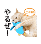 ひまわり君スタンプ（個別スタンプ：13）