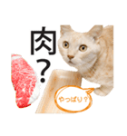 ひまわり君スタンプ（個別スタンプ：16）
