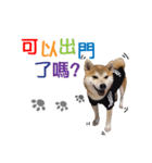 Handsome shiba（個別スタンプ：3）