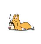 Corgi XIAO LAI is not a human-move（個別スタンプ：2）