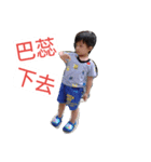 little carpal of day（個別スタンプ：1）