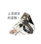 Daily life of EggSoup（個別スタンプ：24）