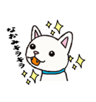 NAOMI ONLY STICKER（個別スタンプ：3）