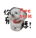 Maltese's daily（個別スタンプ：22）