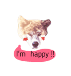秋田犬・柴犬スタンプ（個別スタンプ：8）