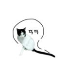 catx5（個別スタンプ：10）