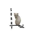 catx5（個別スタンプ：14）