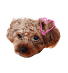 chocomi（個別スタンプ：1）