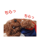 chocomi（個別スタンプ：6）