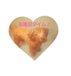 chocomi（個別スタンプ：8）