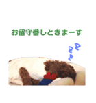 chocomi（個別スタンプ：13）
