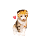 まろんとまりも（個別スタンプ：13）