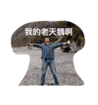 Huang's house（個別スタンプ：16）