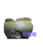 Cu mouse（個別スタンプ：8）