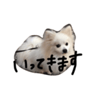 うぷのまいにちスタンプ（個別スタンプ：3）
