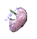 紫陽花であいさつ（個別スタンプ：3）