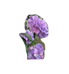 紫陽花であいさつ（個別スタンプ：4）