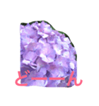 紫陽花であいさつ（個別スタンプ：5）