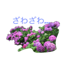 紫陽花であいさつ（個別スタンプ：8）