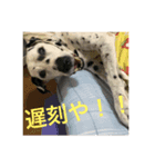 こいでのティナちゃん♡（個別スタンプ：3）