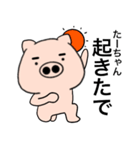 Name pig Ta-chan（個別スタンプ：1）