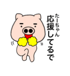 Name pig Ta-chan（個別スタンプ：17）