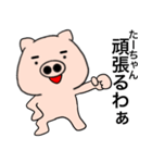 Name pig Ta-chan（個別スタンプ：18）