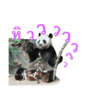 Sleepy jung（個別スタンプ：8）