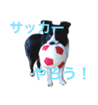 仲良しコンビそらとモカ（個別スタンプ：1）