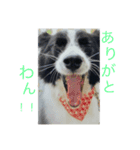 仲良しコンビそらとモカ（個別スタンプ：7）