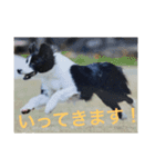 仲良しコンビそらとモカ（個別スタンプ：8）