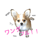 仲良しコンビそらとモカ（個別スタンプ：9）