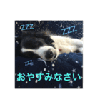 仲良しコンビそらとモカ（個別スタンプ：10）