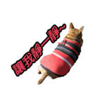Lovely dogs along with you（個別スタンプ：12）