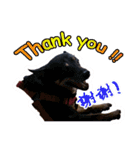 Lovely dogs along with you（個別スタンプ：14）