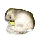 レモ犬（個別スタンプ：1）