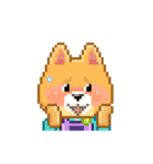 Borky shiba dog: animation set 1（個別スタンプ：21）