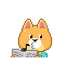 Borky shiba dog: animation set 1（個別スタンプ：22）