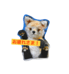 子ギツネちゃん（個別スタンプ：1）