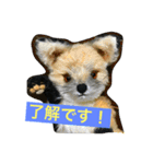子ギツネちゃん（個別スタンプ：10）