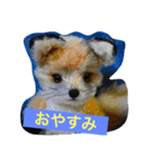 子ギツネちゃん（個別スタンプ：13）