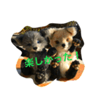 子ギツネちゃん（個別スタンプ：14）