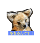 子ギツネちゃん（個別スタンプ：15）